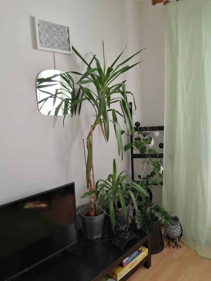 Apartmán Emma Nová Lesná Exteriér fotografie