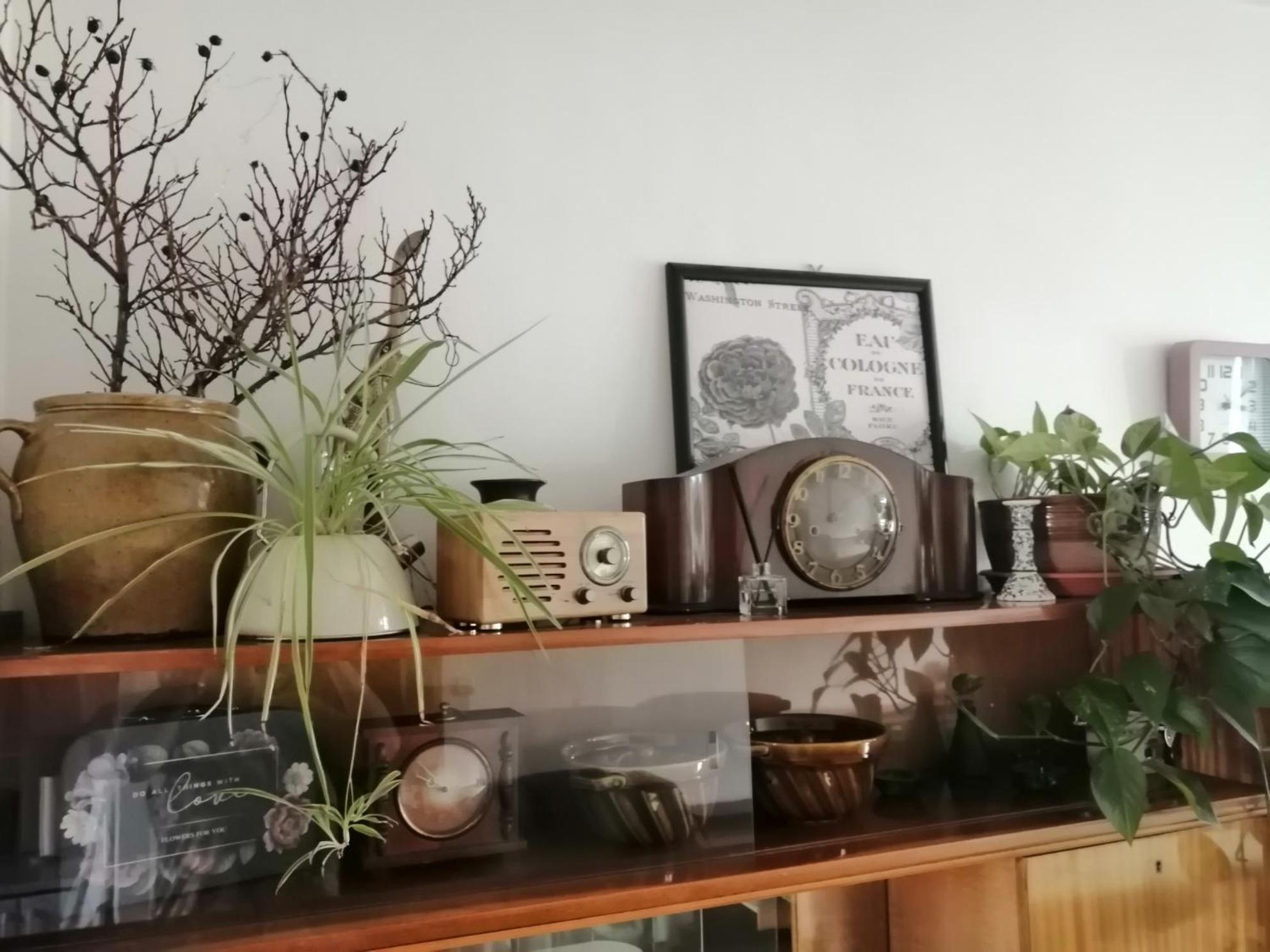 Apartmán Emma Nová Lesná Exteriér fotografie